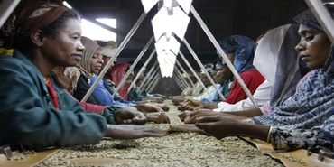 IS FAIR TRADE FAIR? A QUICK GUIDE TO POPULAR CERTIFICATES