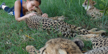 Keep Calm and Hug a Jaguar - Volunteering for Wildlife