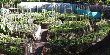 Mandala Garden