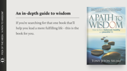 “A Path to Wisdom”, by Tony Jeton Selimi