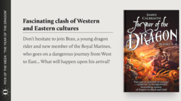 Immerse Yourself in a Detailed Fantasy World