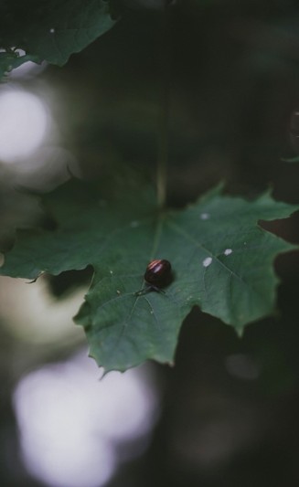 test 001