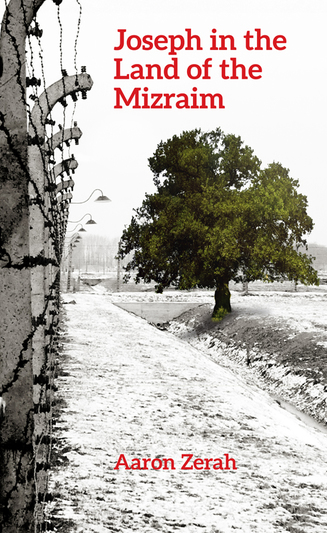 Joseph in the Land of the Mizraim